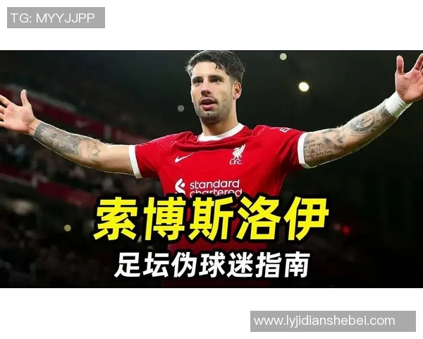 索博斯洛伊的历史遗迹与文化传承探秘之旅