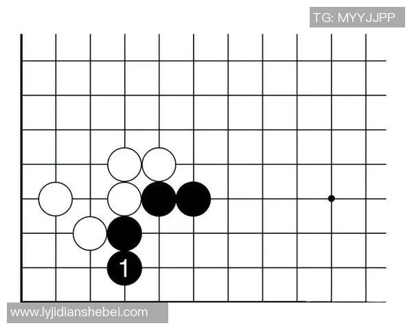 深入分析北京排球队的进攻策略与战术特点探讨 深入分析北京排球队的进攻策略与战术特点探讨