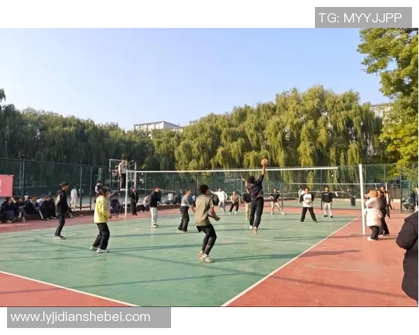 广州排球队心理素质的变革与提升探讨热议排球的未来发展方向