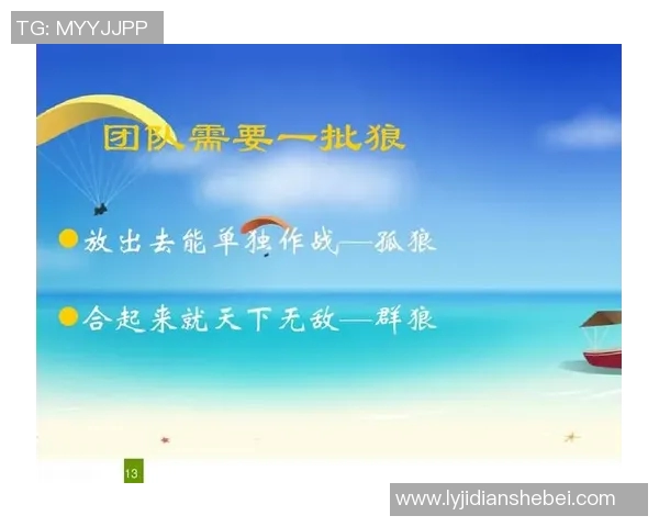 极限运动团队协作全攻略从零起步打造无敌团队的成功之道